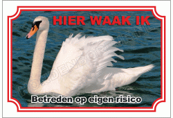 Knobbelzwaan