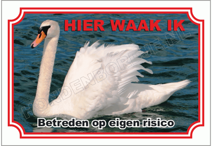Knobbelzwaan