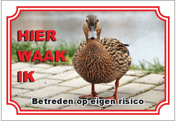 Eend