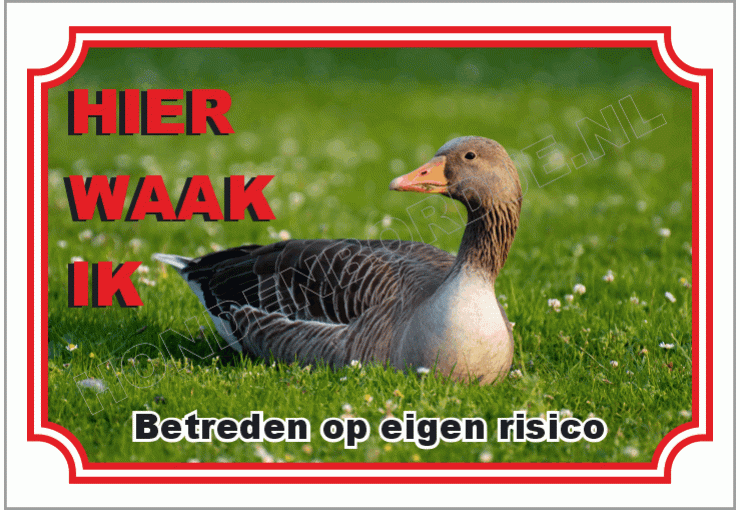 Gans