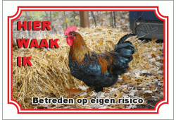 Haan
