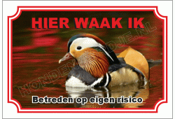 Mandarijneend