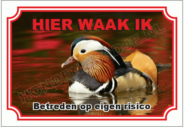 Mandarijneend