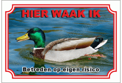 Woerd - eend