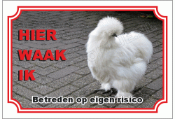 Zijdehoender- kip