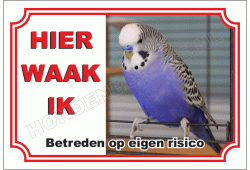 Parkiet