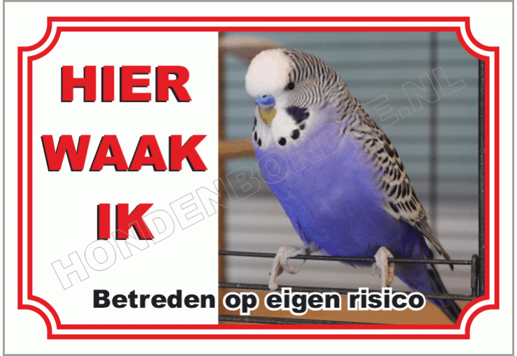 Parkiet