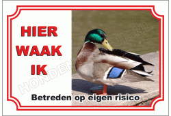 Eend