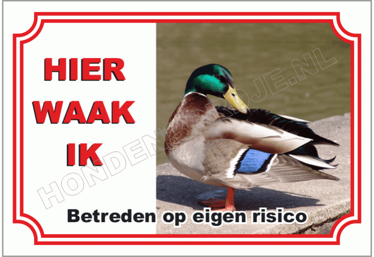 Eend