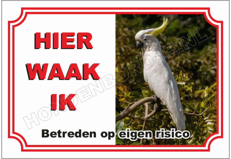 Zwavel Kuif Kaketoe