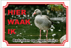 Gans