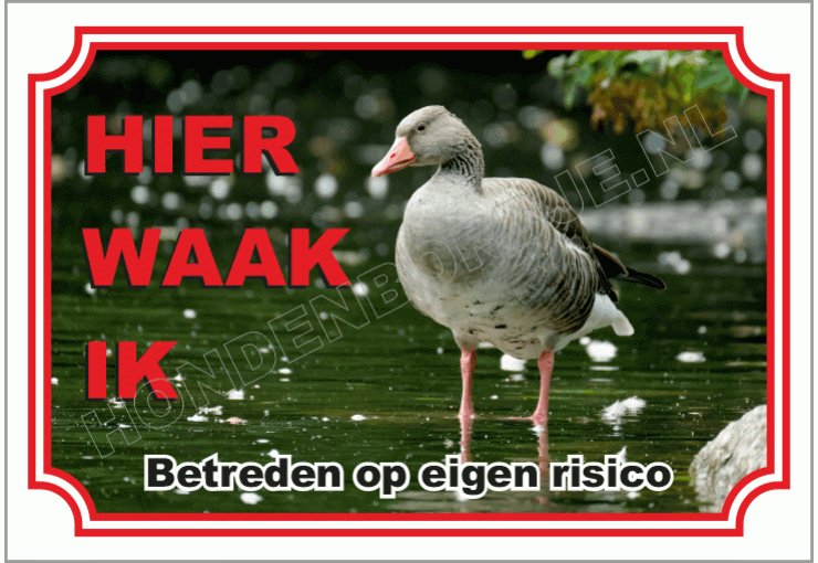 Gans