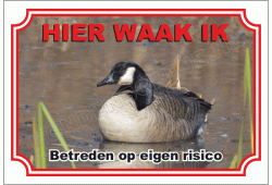 Gans
