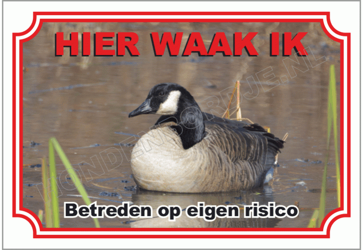 Gans