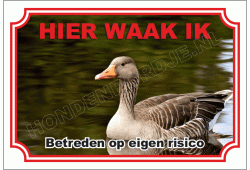 Gans