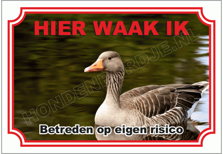 Gans