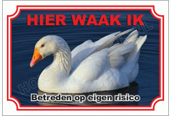Gans