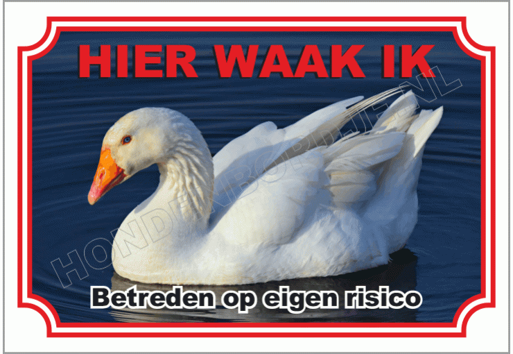 Gans