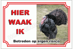 Kalkoen