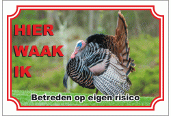 Kalkoen