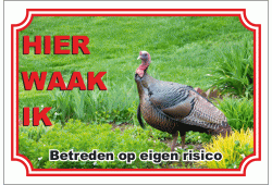 Kalkoen