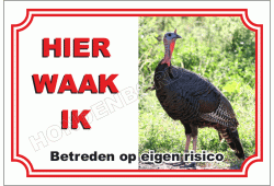 Kalkoen