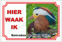 Mandarijneend