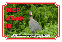 Parelhoender