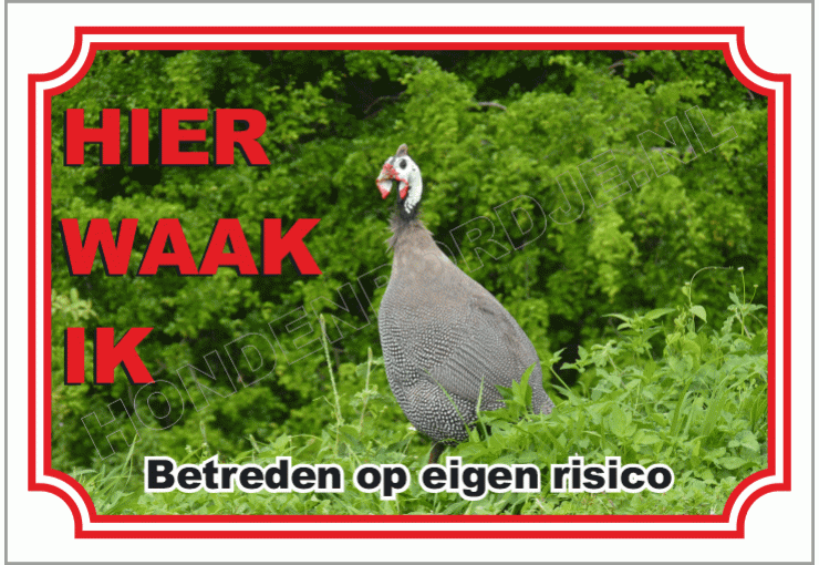 Parelhoender