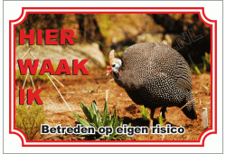 Parelhoender