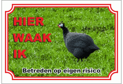 Parelhoender