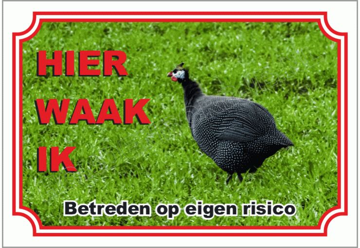 Parelhoender