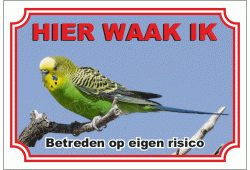 Parkiet