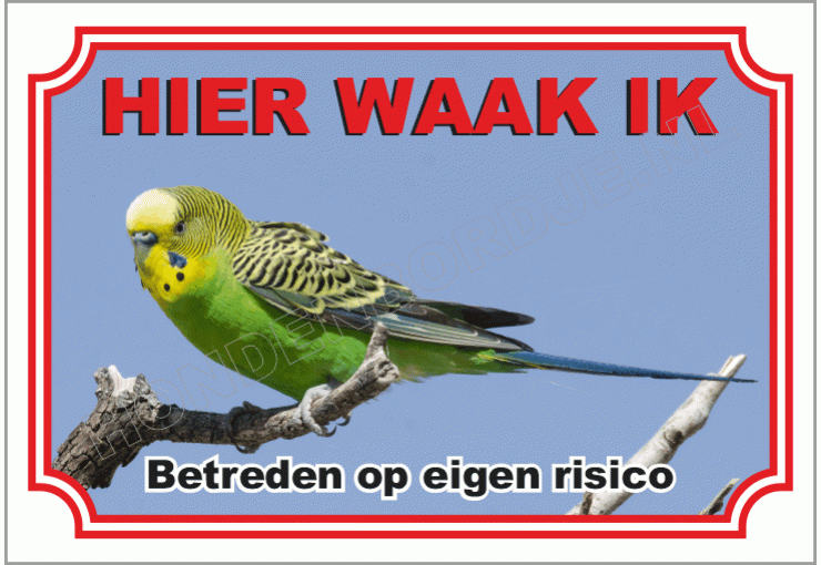 Parkiet