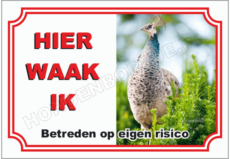 Pauw