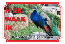 Pauw