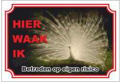 Pauw wit