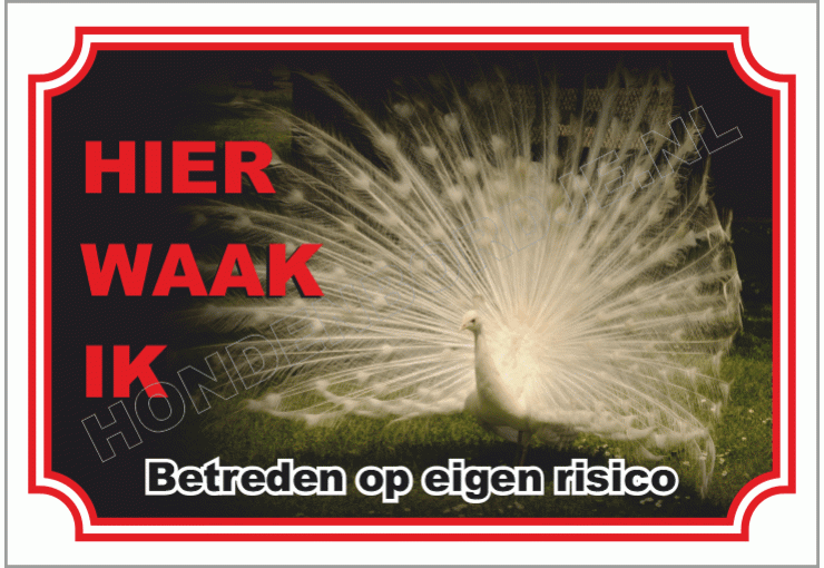 Pauw wit