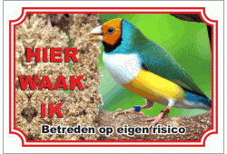 Vink