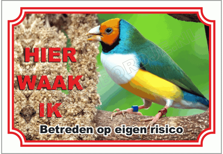 Vink