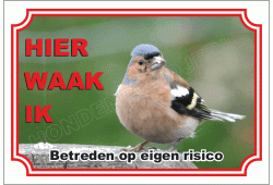 Vink