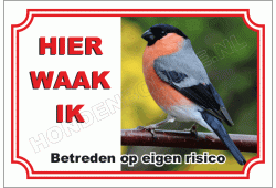Vink