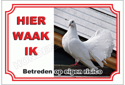 Witte sier duif