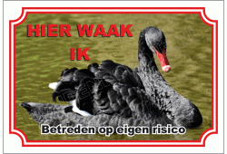 Zwaan