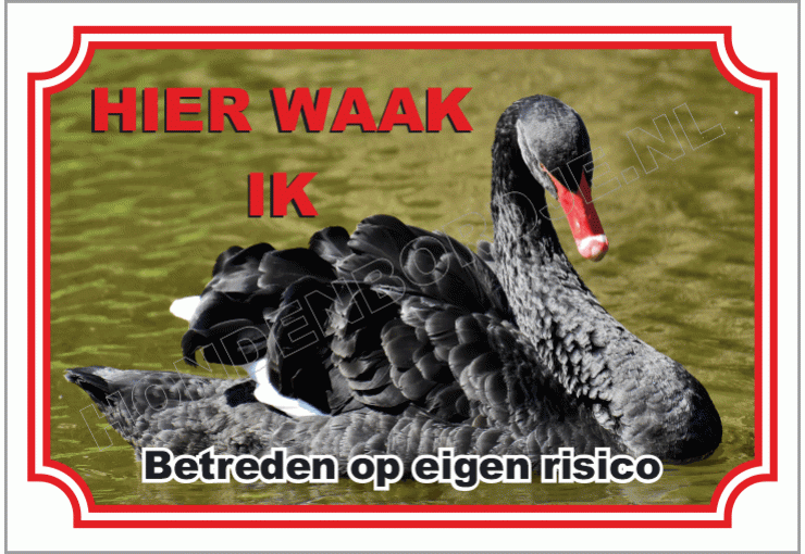 Zwaan