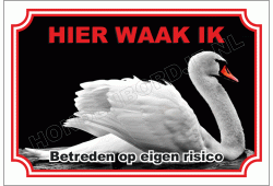 Zwaan
