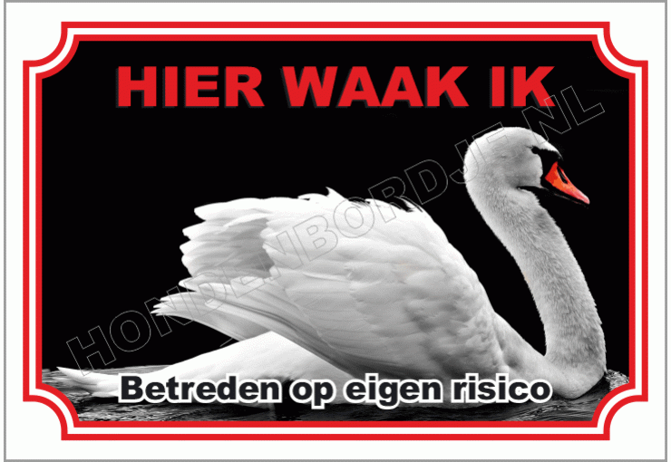 Zwaan