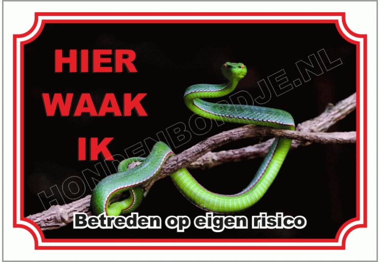 Groene slang