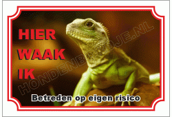 Hagedis