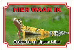 Gekko